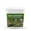 Beta Carotine, Folic-acid & Vitamin E
